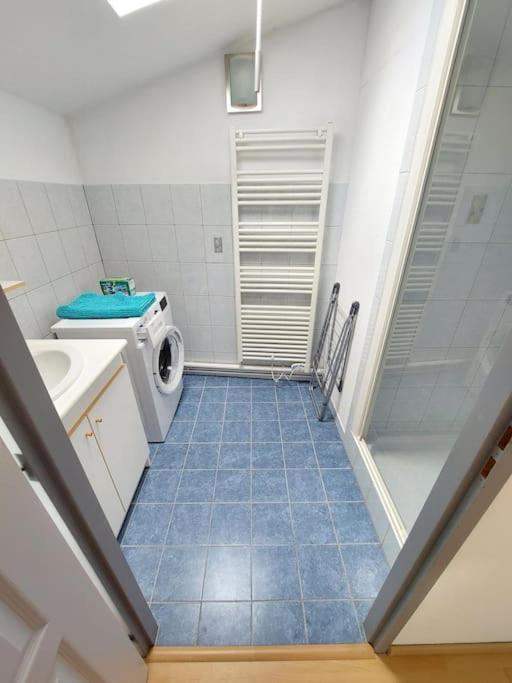 Appartement Chaleureux Ремирмон Экстерьер фото